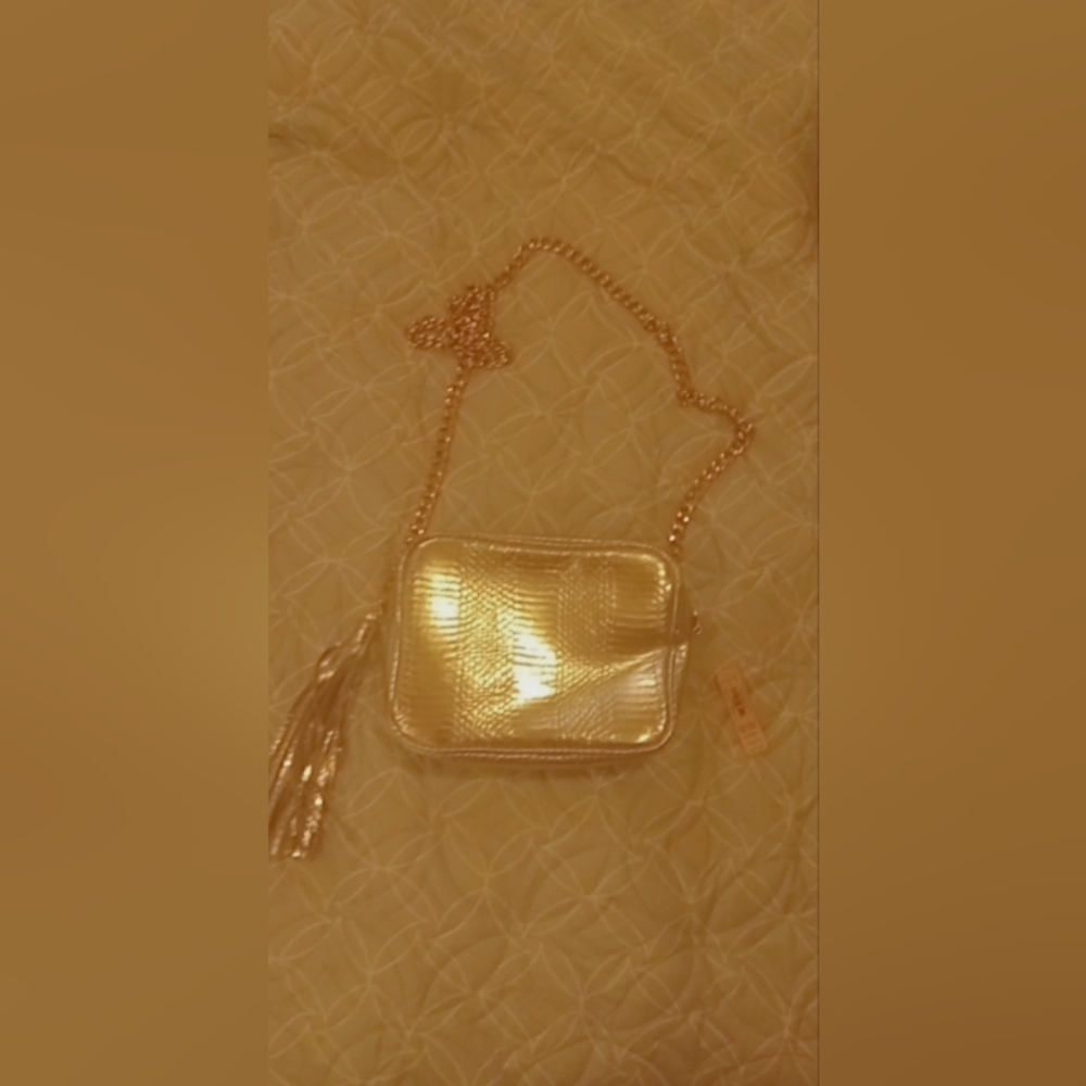 VS purse